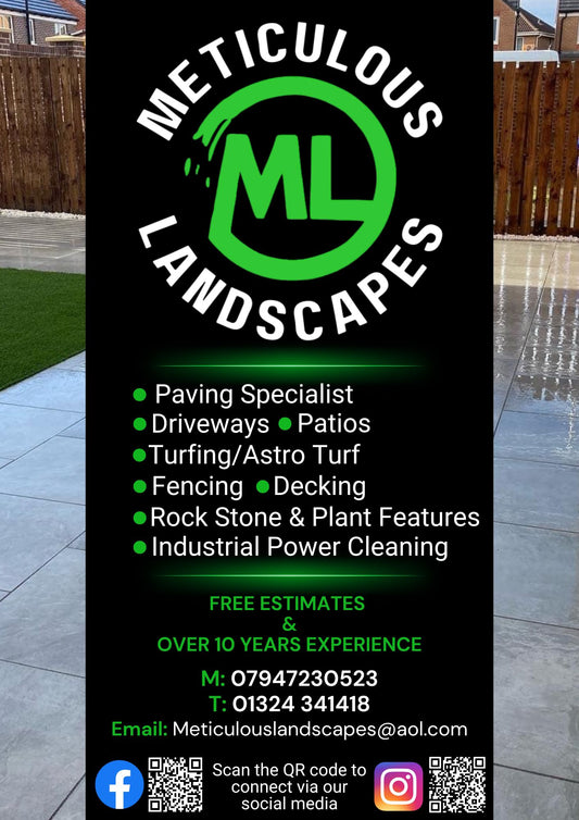 Business Flyer Design